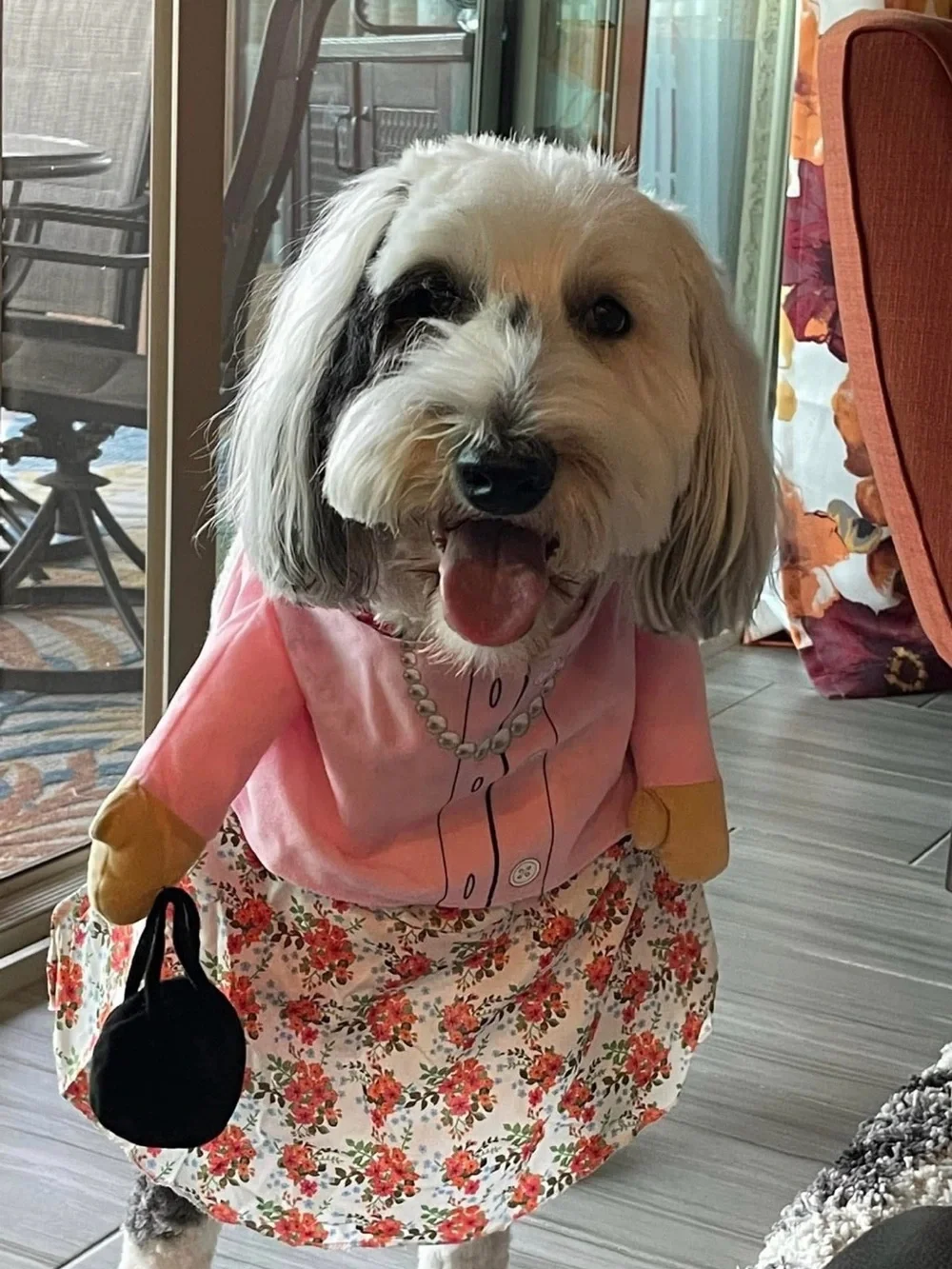 HALLOWEEN-Pet Dress Costume Outfit with Pearl-Print Cardigan includes Wig